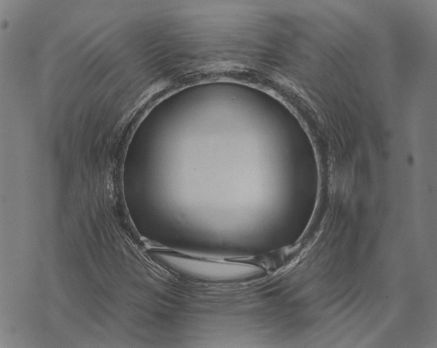 X0000073761305200608241402