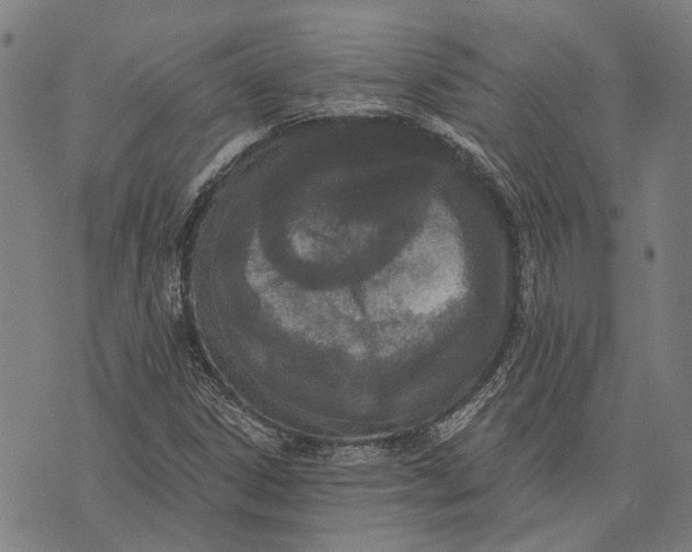 X0000073761306200608241402