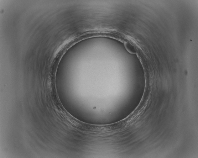 X0000073761307200608241402