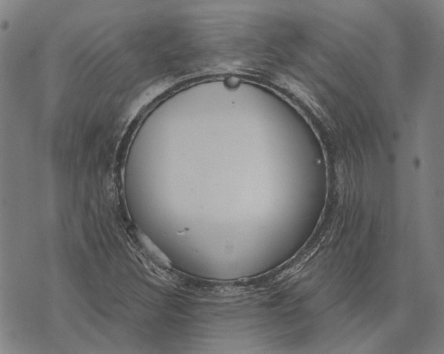 X0000073761308200608241402