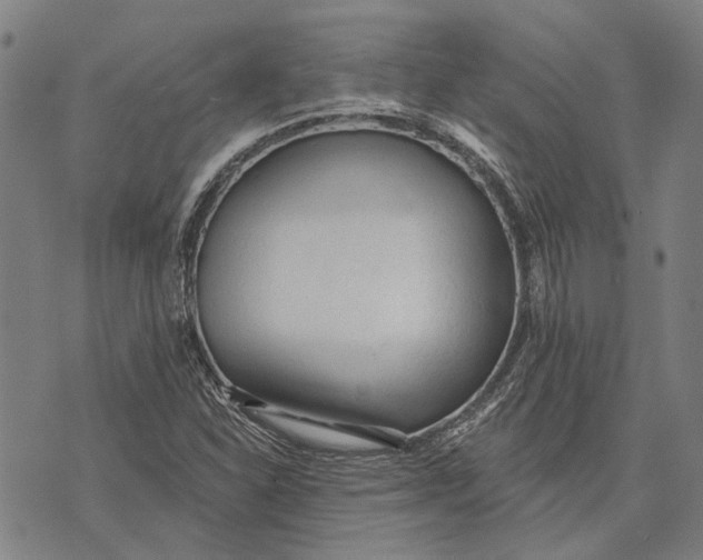 X0000073761310200608241402