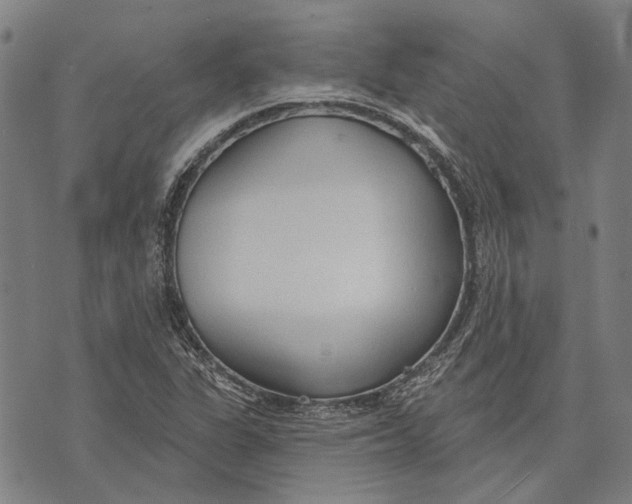 X0000073761311200608241402