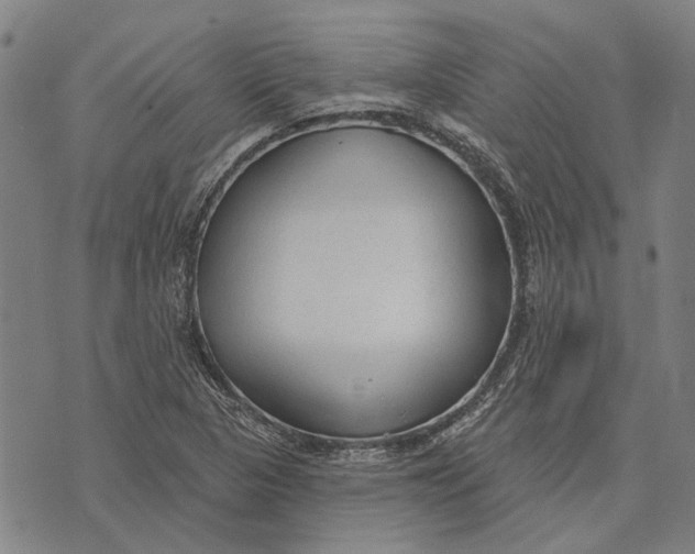 X0000073761313200608241402