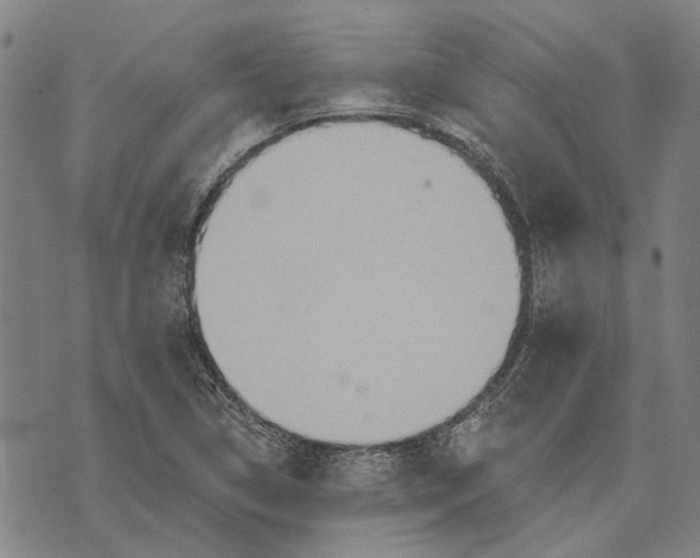 X0000073761314200608241402