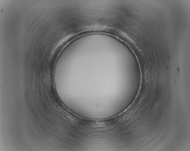 X0000073761315200608241402