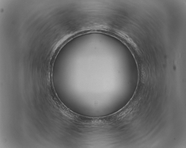 X0000073761316200608241402