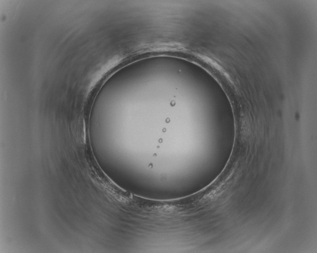 X0000073761317200608241402