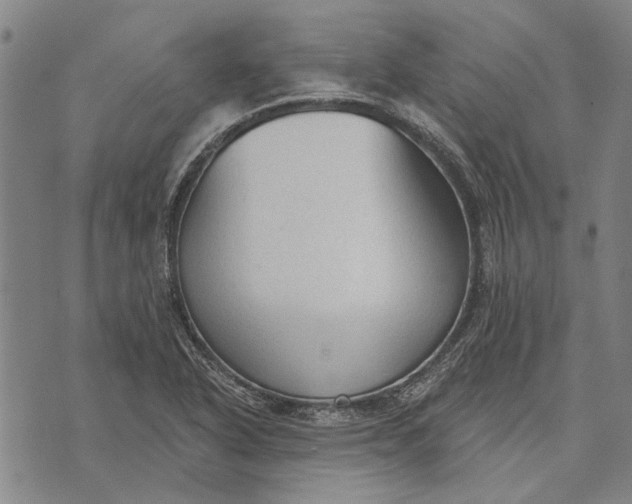 X0000073761318200608241402