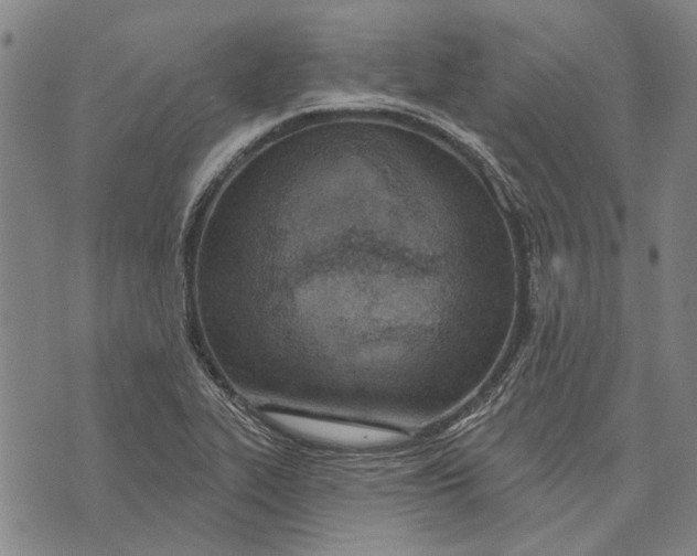 X0000073761319200608241402