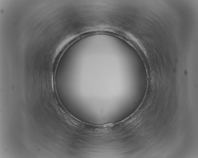 X0000073761320200608241402