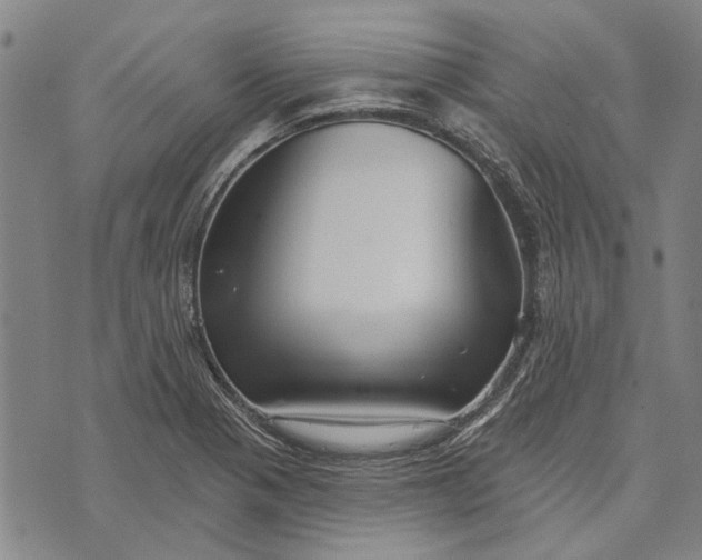 X0000073761321200608241402