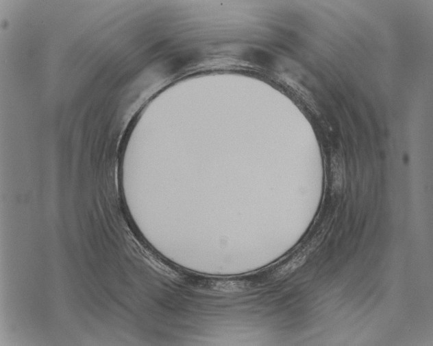 X0000073761322200608241402