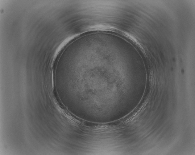 X0000073761323200608241402