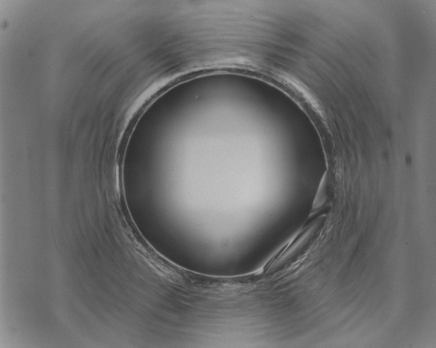 X0000073761324200608241402