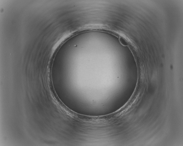 X0000073761325200608241402