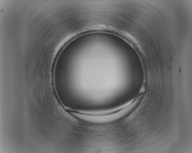 X0000073761326200608241402