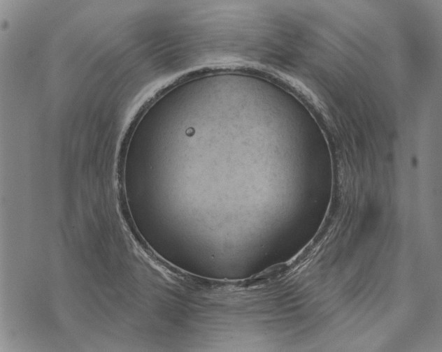 X0000073761327200608241402