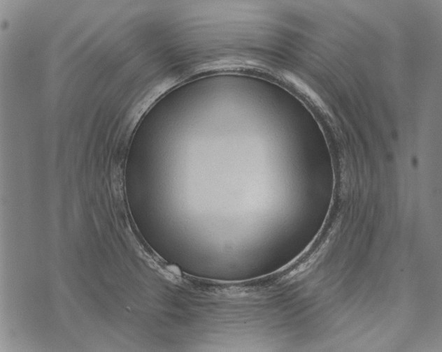 X0000073761329200608241402