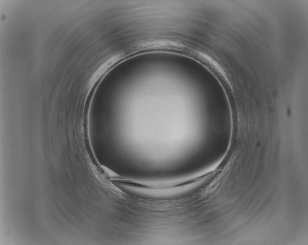 X0000073761330200608241402