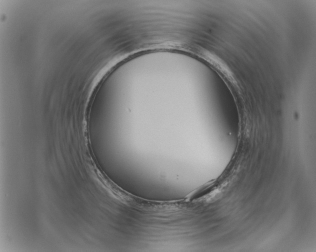 X0000073761332200608241402