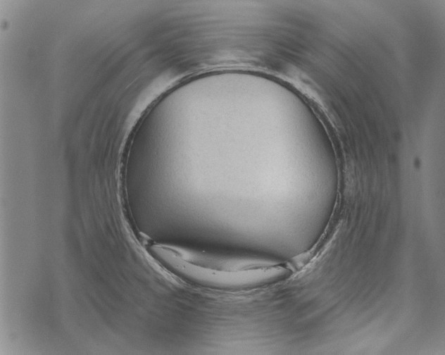 X0000073761333200608241402