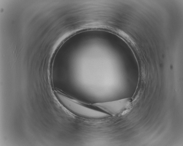 X0000073761334200608241402