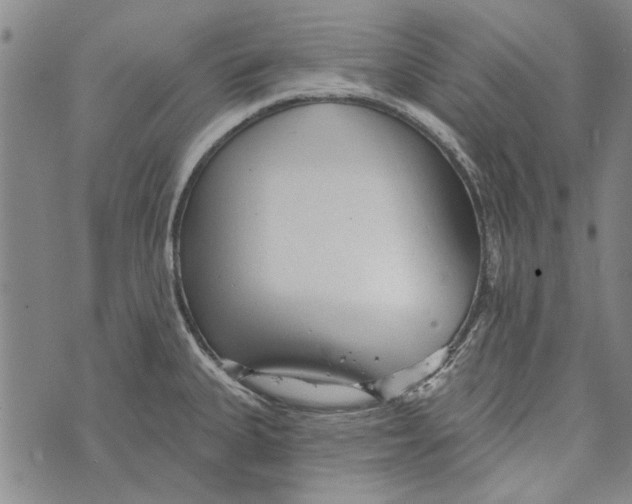 X0000073761335200608241402