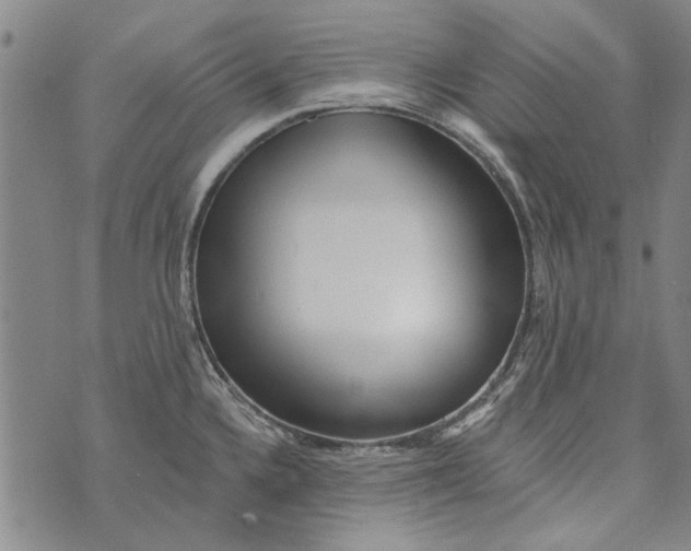 X0000073761336200608241402