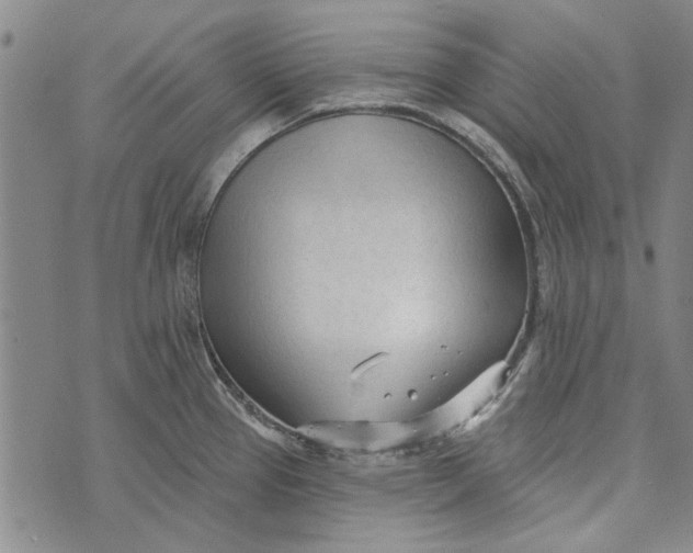 X0000073761337200608241402