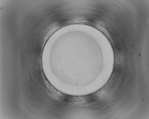 X0000073761338200608241402