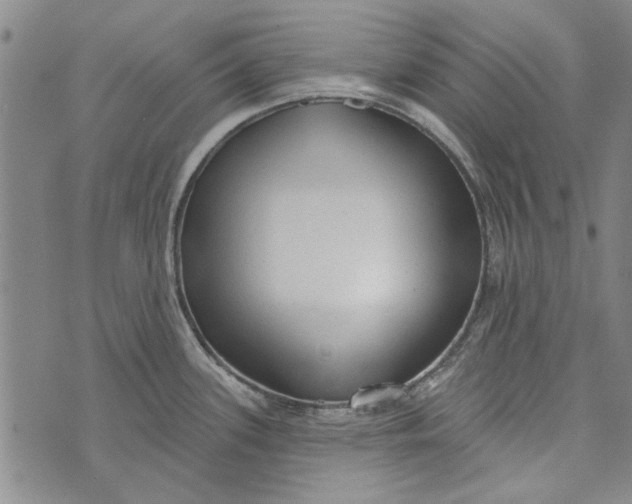 X0000073761339200608241402