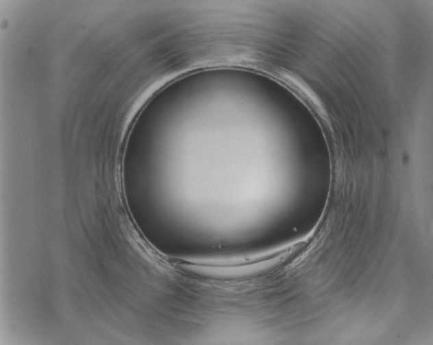 X0000073761340200608241402