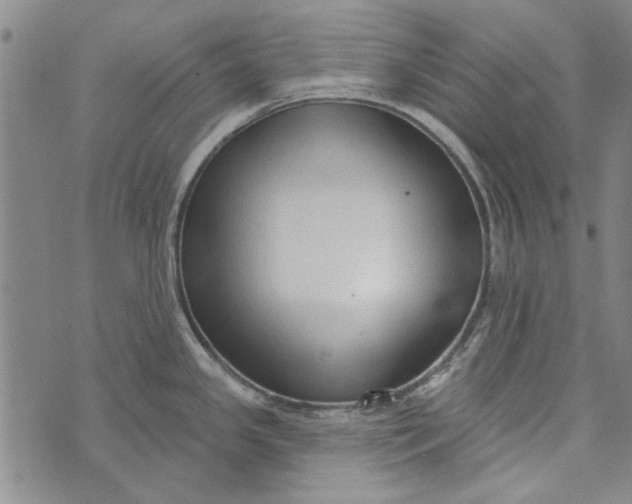 X0000073761341200608241402