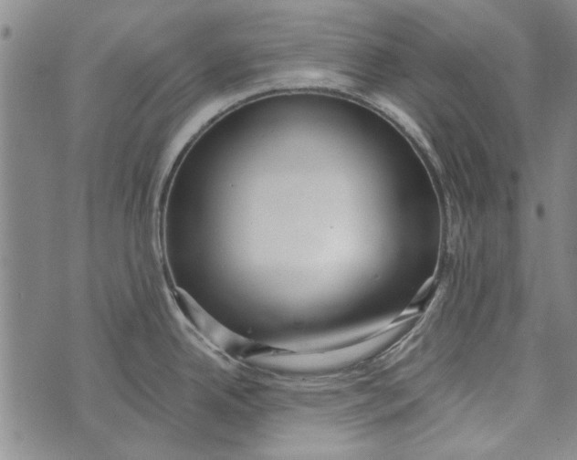 X0000073761342200608241402