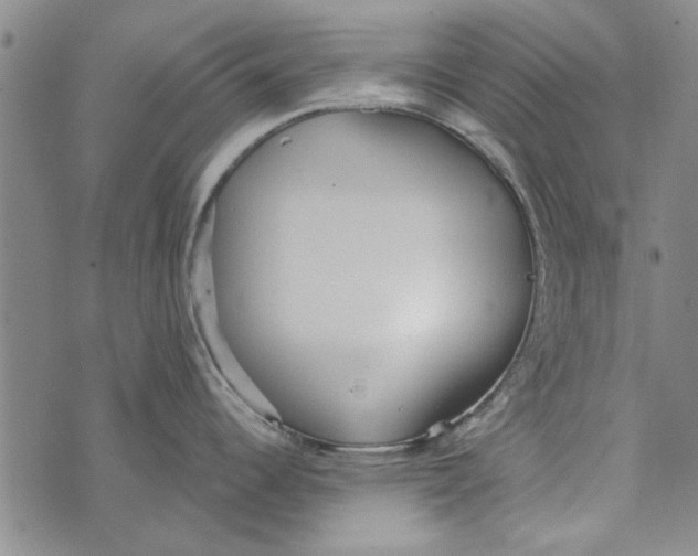 X0000073761344200608241402