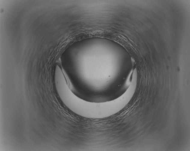 X0000073761345200608241402