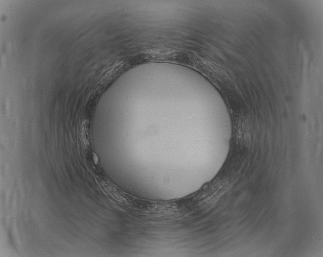 X0000073761346200608241402