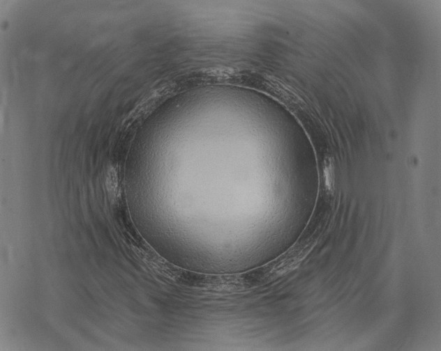 X0000073761347200608241402