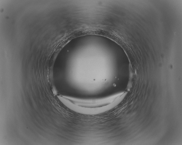 X0000073761348200608241402