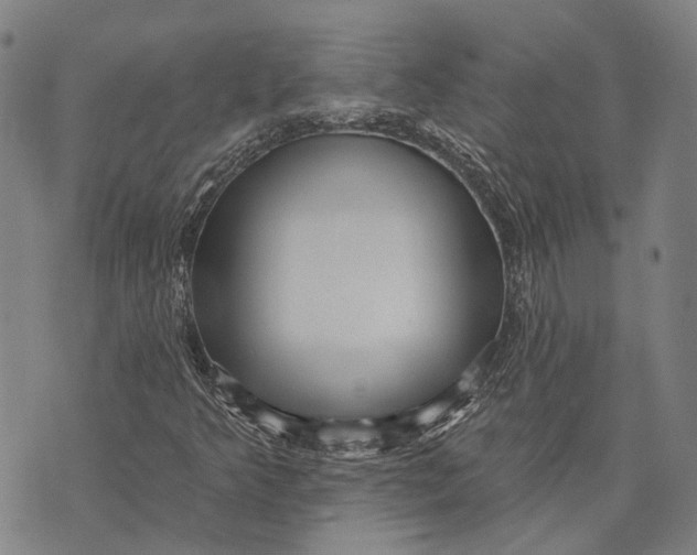 X0000073761349200608241402