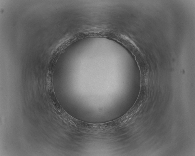 X0000073761350200608241402