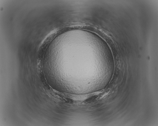 X0000073761351200608241401