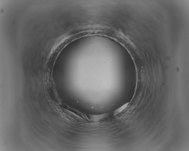 X0000073761352200608241401