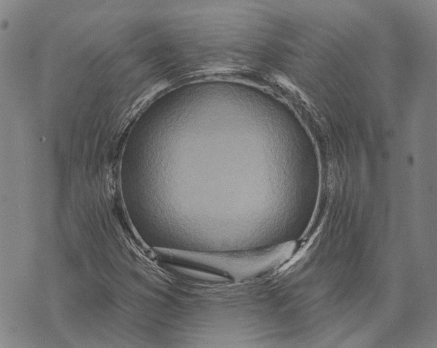 X0000073761353200608241401