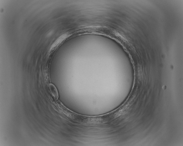 X0000073761354200608241401