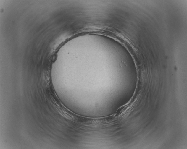 X0000073761355200608241401