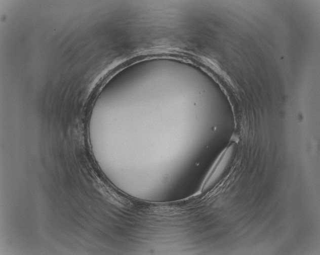 X0000073761356200608241401