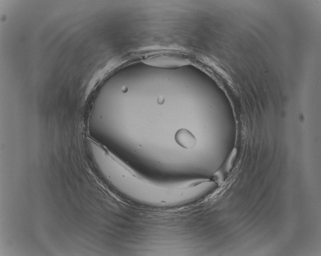 X0000073761357200608241401