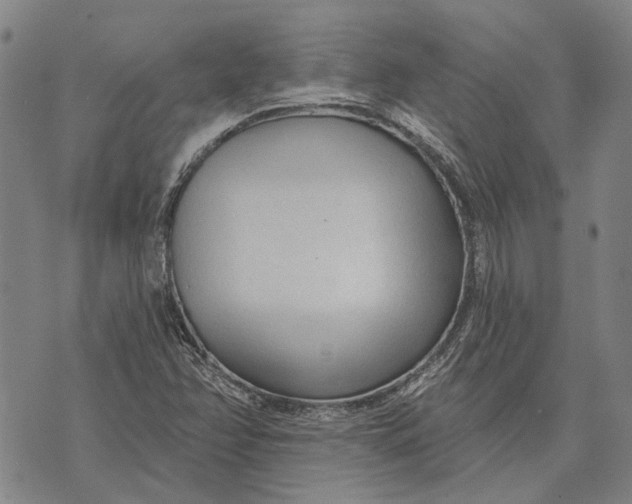 X0000073761358200608241401