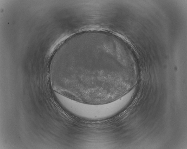 X0000073761359200608241401